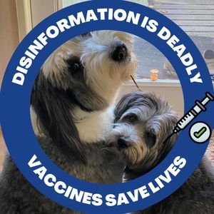 Meet your Posher, Joni